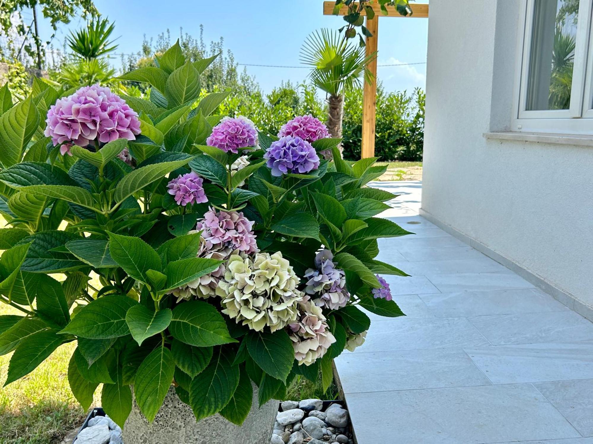 Villa Palma Lovran Exterior photo